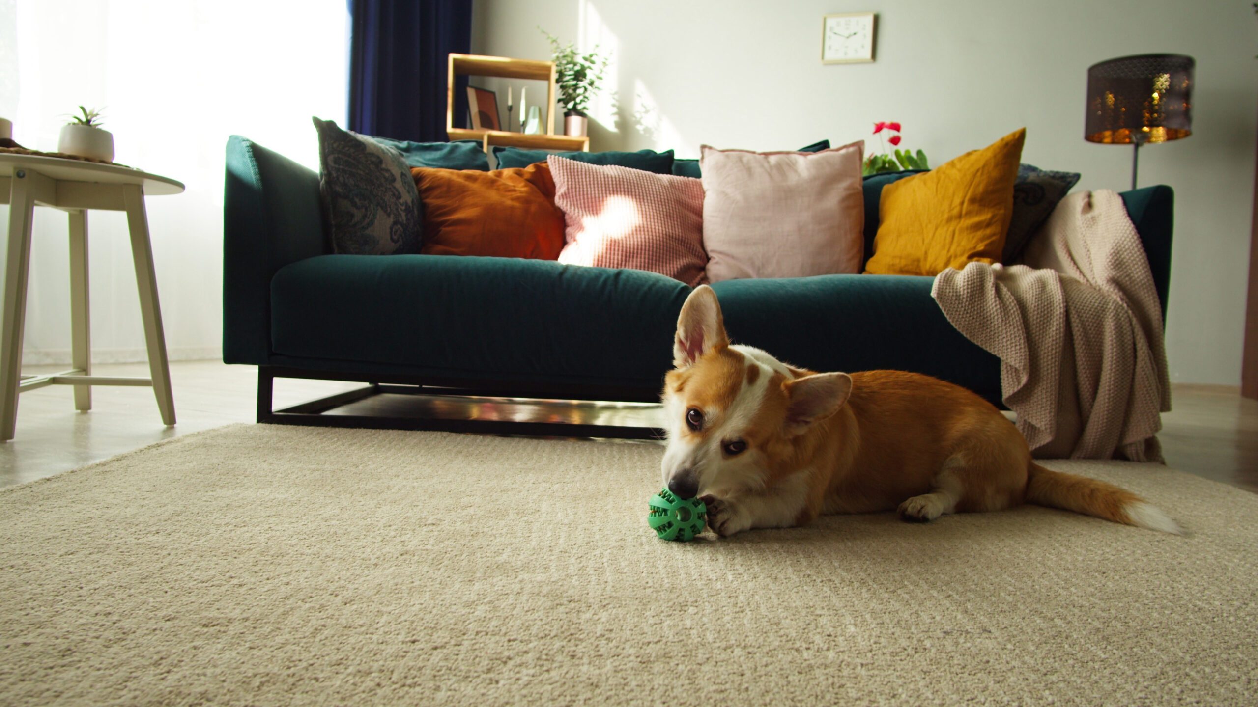 The Calm Exit & Return: